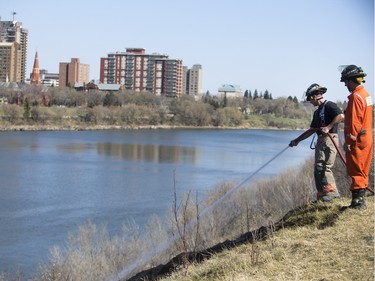 Saskatoon Firefighters respond to multiple fires along the Meewasin Trail between the University and Broadway Bridges, April 30, 2016.