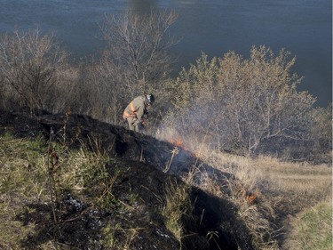 Saskatoon Firefighters respond to multiple fires along the Meewasin Trail between the University and Broadway Bridges, April 30, 2016.