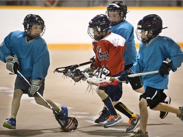 The Land Sharks were up against the Exterminators in a Box Lacrosse game at Kinsmen Arena, May 4, 2016.