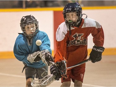 The Land Sharks were up against the Exterminators in a Box Lacrosse game at Kinsmen Arena, May 4, 2016.