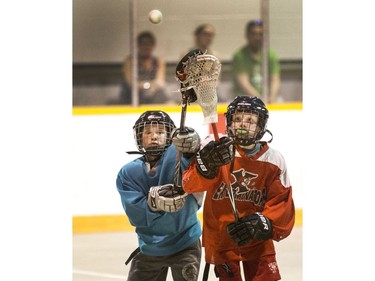 The Land Sharks were up against the Exterminators in a Box Lacrosse game at Kinsmen Arena, May 4, 2016.