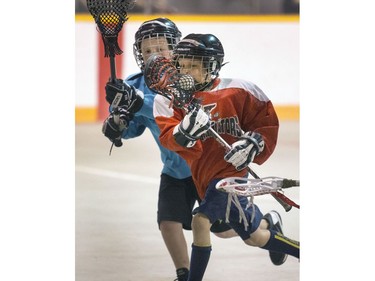 The Land Sharks were up against the Exterminators in a Box Lacrosse game at Kinsmen Arena, May 4, 2016.