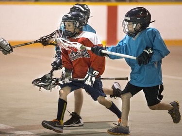 The Land Sharks were up against the Exterminators in a Box Lacrosse game at Kinsmen Arena, May 4, 2016.