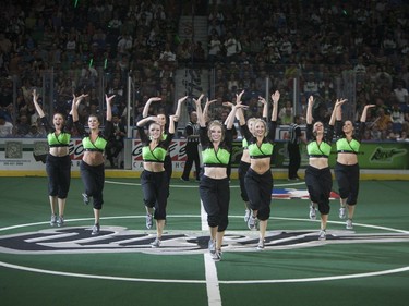 The Saskatchewan Rush Cheerleaders perform at SaskTel Centre in Saskatoon, May 21, 2016.