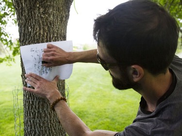 Andrew Morosini demonstrates Charcoal drawing on a tree at the Pop-up Playground in Victoria Park, May 28, 2016. This playground is to help children focus on the natural work in Saskatoon.