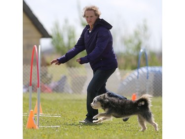 Fort McMurray evacuee Koralee Samaroden's dog Rizzo competes in the dog agility show in Saskatoon on May 22, 2016.