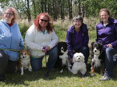 L-R: Fort McMurray evacuees Tina Robinson, Kelly Martens-Poole, Betty Samaroden and Koralee Samaroden with their dogs Hettie, Fury, Summer and Karma competed at the dog agility show in Saskatoon on May 22, 2016.