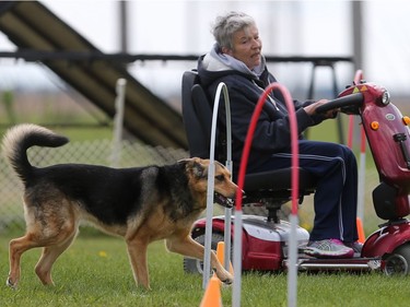 Karen MacDonald's dog Tessa competes in the dog agility show in Saskatoon on May 22, 2016.