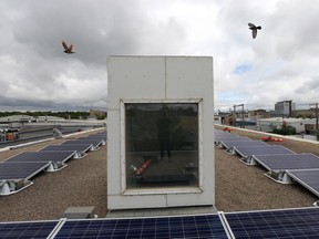 The Saskatchewan Environmental Society's Solar Co-operative unveiled its first solar panel installation, on the roof of the Two Twenty, Tuesday morning.