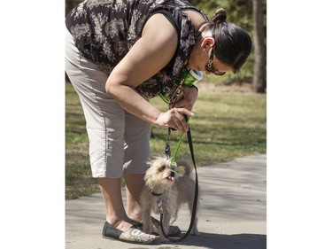 Raven Shepherd shares some water  through a straw with her six-month-old cross Jak while out on a walk on Berini  Drive, Monday, May 02, 2016.