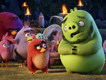 A scene from "The Angry Birds Movie."