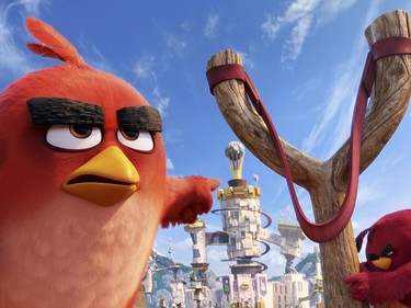 Red voiced by Jason Sudeikis in "The Angry Birds Movie."