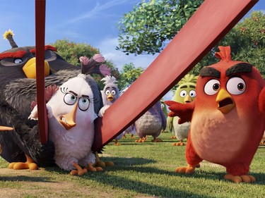 L-R: Bomb voiced by Danny McBride, Matilda voiced by Maya Rudolph and Red voiced by Jason Sudeikis in "The Angry Birds Movie."