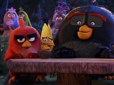 L-R: Red voiced by Jason Sudeikis, Chuck voiced by Josh Gad and Bomb voiced by Danny McBride in "The Angry Birds Movie."