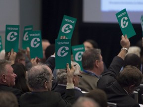 Conservative delegates hold up vote cards as they vote to change the current wording of the party's same-sex marriage policy.