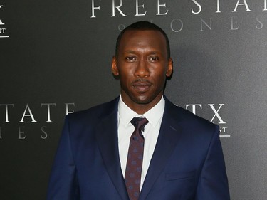 Mahershala Ali attends the premiere of "Free State of Jones" in West Hollywood, California, June 21, 2016.