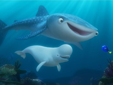 Destiny voiced by Kaitlin Olson (top), Bailey, a beluga whale voiced by Ty Burrell and Dory voiced by Ellen DeGeneres in "Finding Dory."
