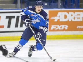 Saskatoon Blades' defenceman Libor Hajek could be chosen as early as the first round when the NHL draft commences Friday