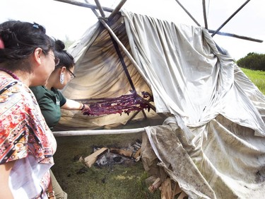 Park interpreter Bonnie Masusapoe explains the process of the lost art of jerky making, holding a piece of bison next to a smoke house on one of the many trails at Wanuskewin Heritage Park during the Aboriginal Day Celebration, June 21, 2016.