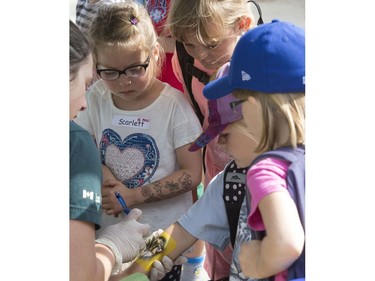 Fun and games along with food, park tours, crafts and body art at Wanuskewin Heritage Park at the opening of the Aboriginal Day Celebration, June 21, 2016.