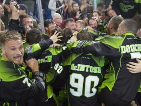 Rush players celebrate their National Lacrosse League championship Saturday night in Saskatoon.
