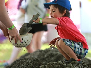 Two-year-old Benjamin Haanen digs for fossils during the PotashCorp Children's Festival at Kiwanis Park Sunday in Saskatoon.