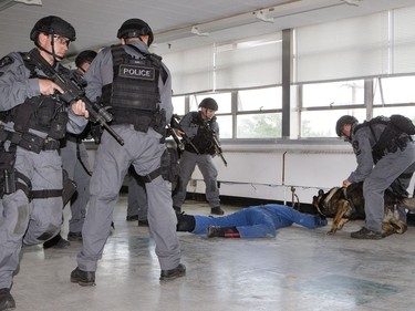 Members of the Saskatoon police service tactical support unit, using a K9, in a training scenario of the takedown of a bad guy during an exercise for media in a warehouse location, June 28, 2016.  Police say they are responding to an increasing number of high risk and violent incidents.