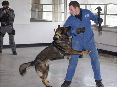 Members of the Saskatoon Police Service’s Tactical Support Unit enact a takedown during a media presentation on June 28, 2016. Police say the TSU is responding to an increasing number of high-risk and violent incidents.