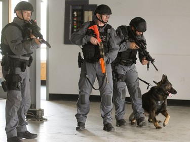 Members of the Saskatoon Police Service’s Tactical Support Unit enact a takedown during a media presentation on June 28, 2016. Police say the TSU is responding to an increasing number of high-risk and violent incidents.