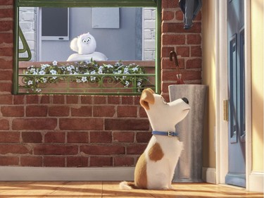 Gidget (Jenny Slate) and Max (Louis C.K.) in Illumination Entertainment and Universal Pictures' "The Secret Life of Pets."