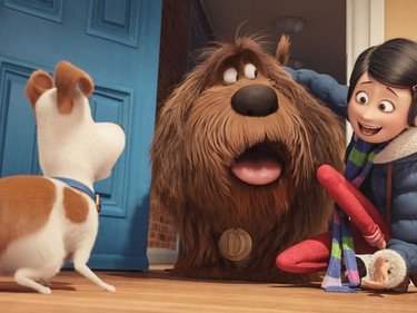 L-R: Max (Louis C.K.), Duke (Eric Stonestreet) and Katie (Ellie Kemper) in Illumination Entertainment and Universal Pictures' "The Secret Life of Pets."