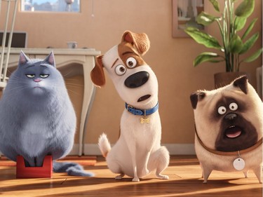 L-R: Chloe (Lake Bell), Max (Louis C.K.) and Mel (Bobby Moynihan) in Illumination Entertainment and Universal Pictures' "The Secret Life of Pets."