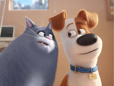 Chloe (Lake Bell) and Max (Louis C.K.) in Illumination Entertainment and Universal Pictures' "The Secret Life of Pets."