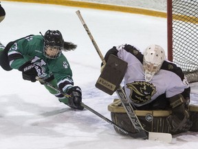 Robin Ulrich has been named the interim head coach for the University of Saskatchewan women's hockey team.