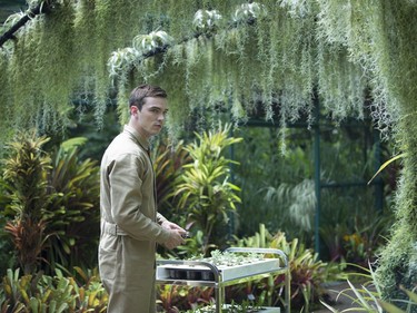 Nicholas Hoult stars in "Equals."