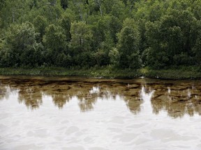 Biggest impact of the spill on wildlife is likely to on invertebrates, especially small aquatic insects.