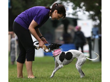 Lisa Deibert and her dog Lazar demonstrate flyball at Pets in the Park in Kiwanis Park north in Saskatoon, July 10, 2016.