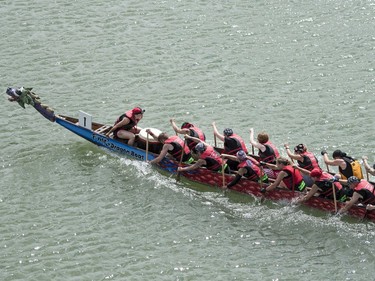Competitors paddle their dragon boat in a race during FMG's Saskatoon Dragon Boat Festival along the South Saskatchewan river near Rotary Park in Saskatoon, July 23, 2016.