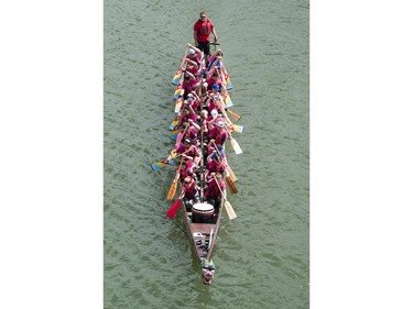 Competitors paddle their dragon boat to the starting line during FMG's Saskatoon Dragon Boat Festival along the South Saskatchewan river near Rotary Park in Saskatoon, July 23, 2016.