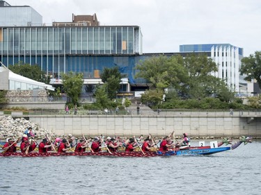 Competitors paddle their dragon boats in a race during FMG's Saskatoon Dragon Boat Festival along the South Saskatchewan river near Rotary Park in Saskatoon, July 23, 2016.