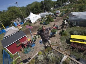 Garden Patch education co-ordinator Dallas Pelly shows off the rooftop garden at the Garden Patch on Second Avenue, Thursday, July 28, 2016.