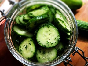 Easy Refrigerator Dill Pickles.