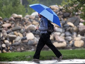It's becoming second nature to just have a umbrella tagging along in Saskatoon with the seemly daily heavy rain showers.