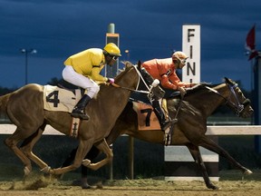 Daniel Gopie riding the No. 7 horse Wicked Landlord wins the Terry Rak Memorial Marathon just ahead of Shawn Samuel on horse No. 4 Weekend Affair. It was the final night of racing for the season at Marquis Downs in Saskatoon on Saturday, September 3rd, 2016.