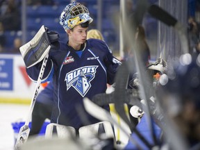 Two 17-year-old goalies are looking to back up Brock Hamm in net this season with the Saskatoon Blades.