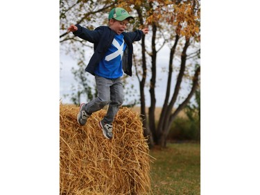 Carter Grosjean jumps off of hay bales at the Black Fox Farm & Distillery pumpkin festival in Saskatoon on September 18, 2016 .