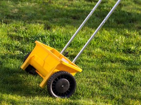Jill Thomson looks at six things you could do to prepare your lawn for winter.