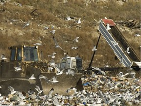 Preventing more material from ending up the landfill is a step toward leaving a better world for future generations.