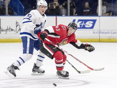 Toronto Maple Leafs defenceman Jake Gardiner and Ottawa Senators left wing Ryan Dzingel battle for the puck during the second period of an NHL pre-season hockey game in Saskatoon, October 4, 2016.