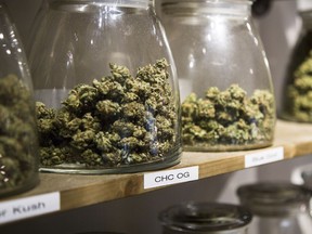 Marijuana in jars at the Colorado Harvest Company dispensary.